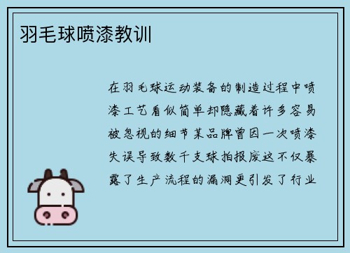羽毛球喷漆教训